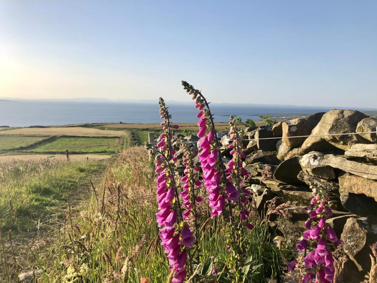 Ocean View Guestrooms Doolin Exterior foto